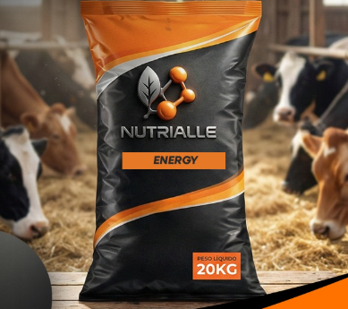 Tecnologia aplicada à produtividade