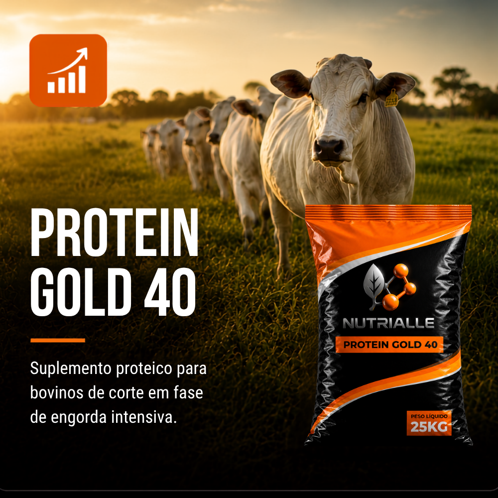 Protein Gold 40