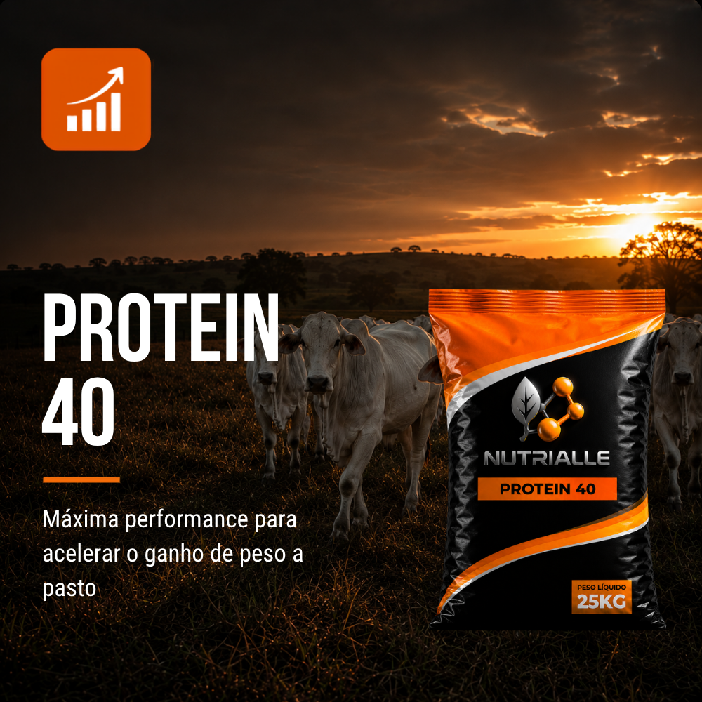Protein 40