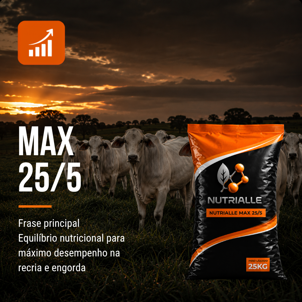 Max 25/5