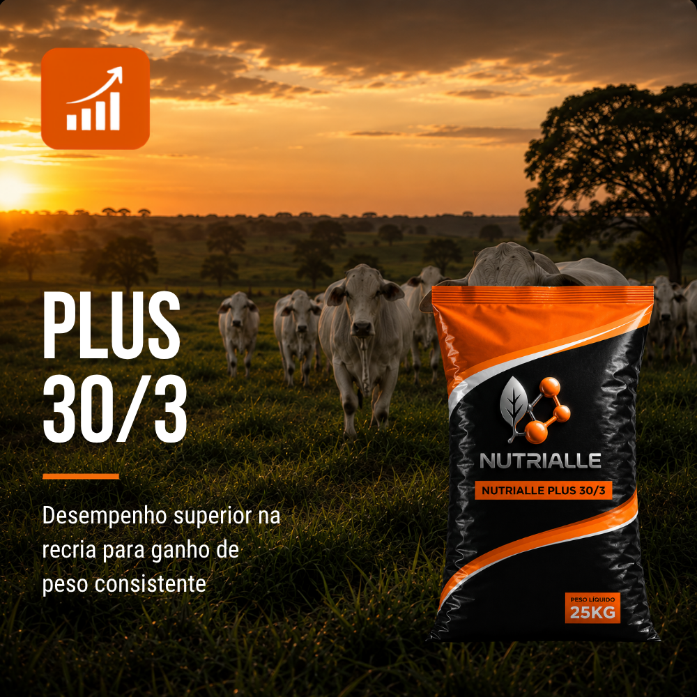 Plus 30/3