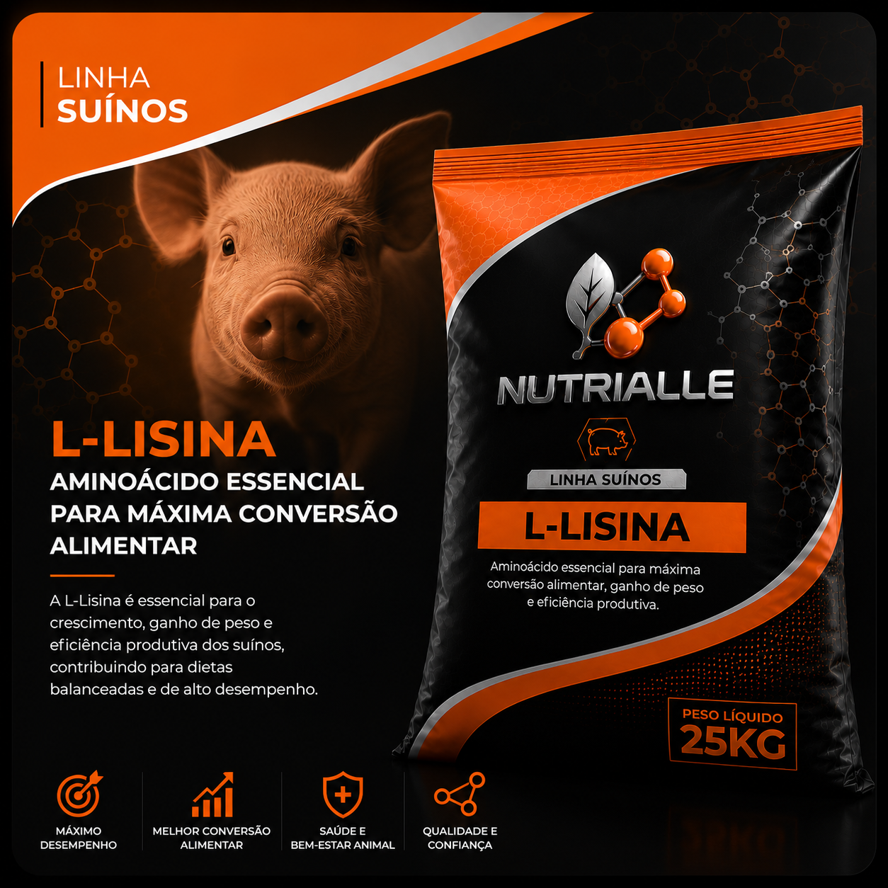 L-Lisina