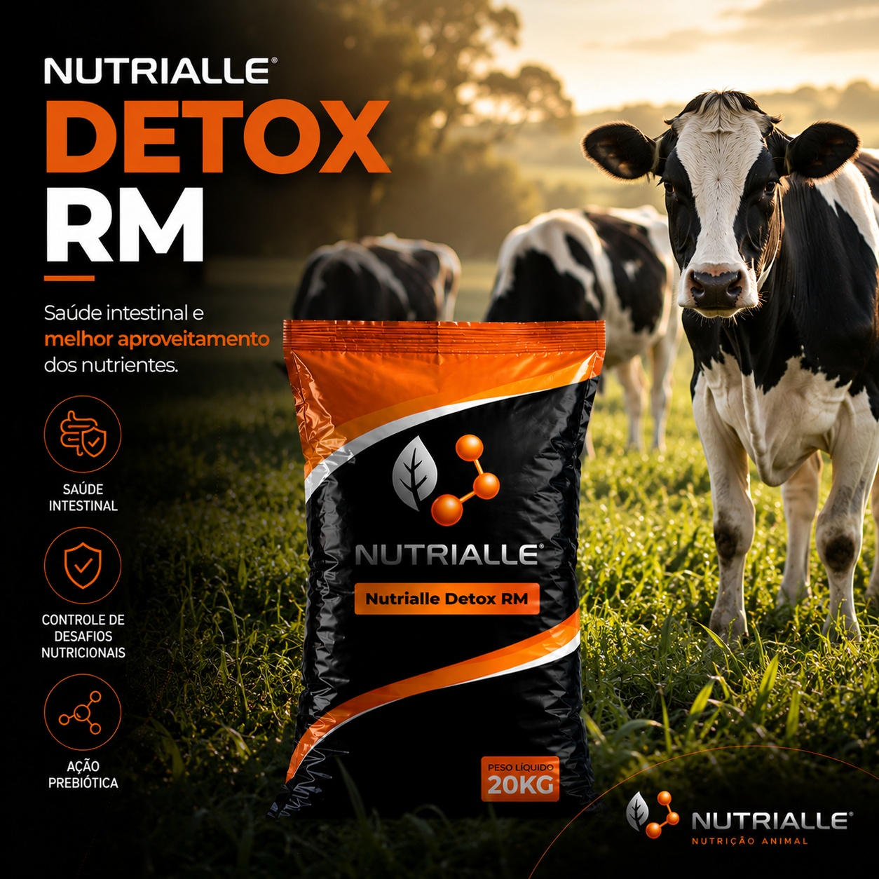 Nutrialle Detox RM