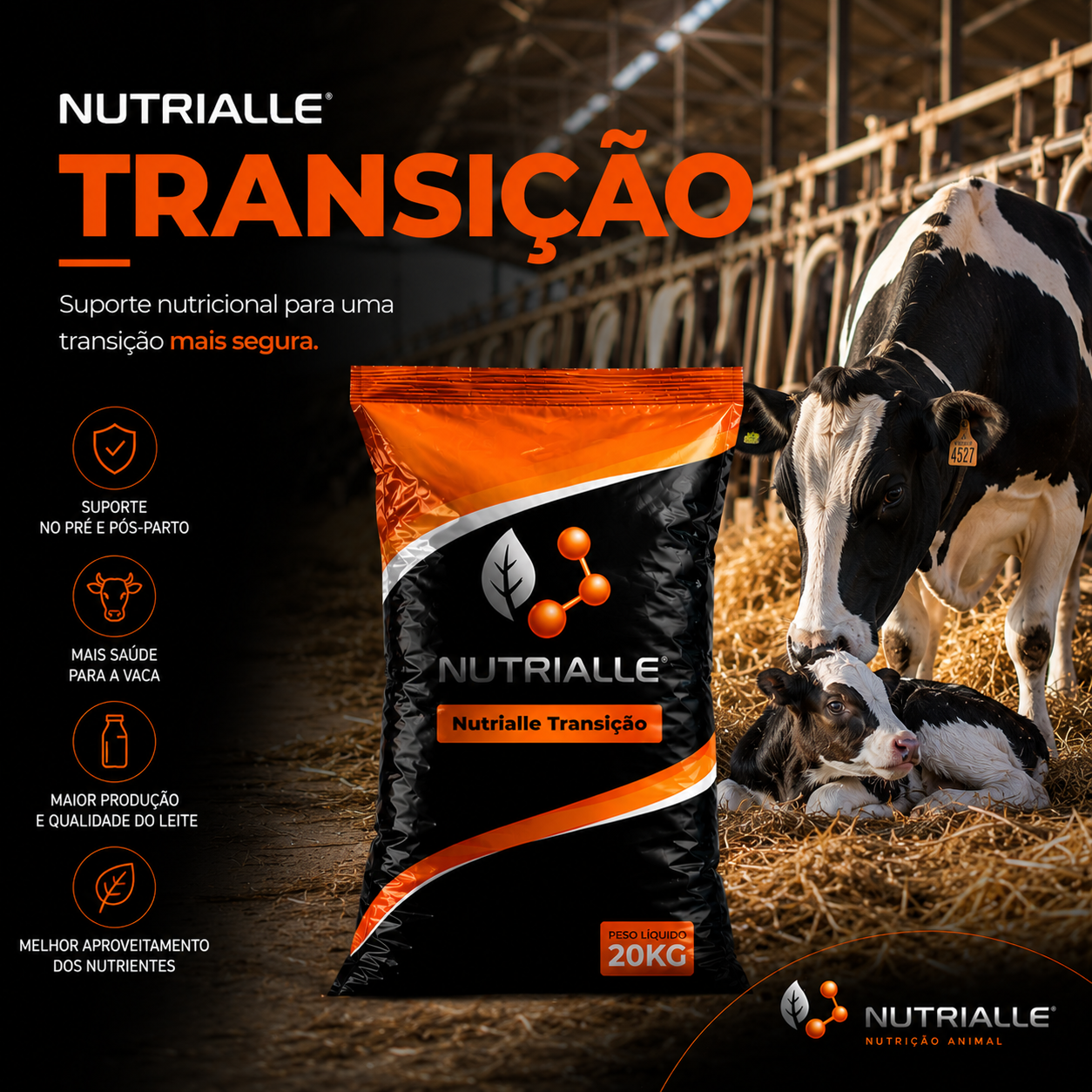 Nutrialle Transição